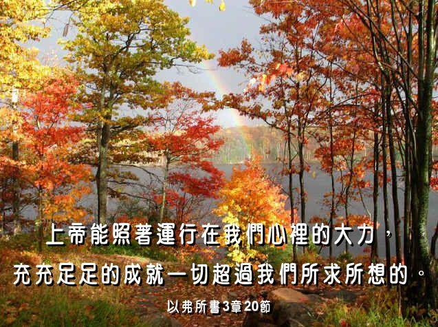 改变人生的四十句圣经金句(11-20)