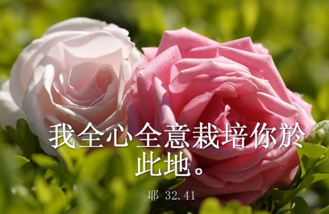 上帝的情书图片版