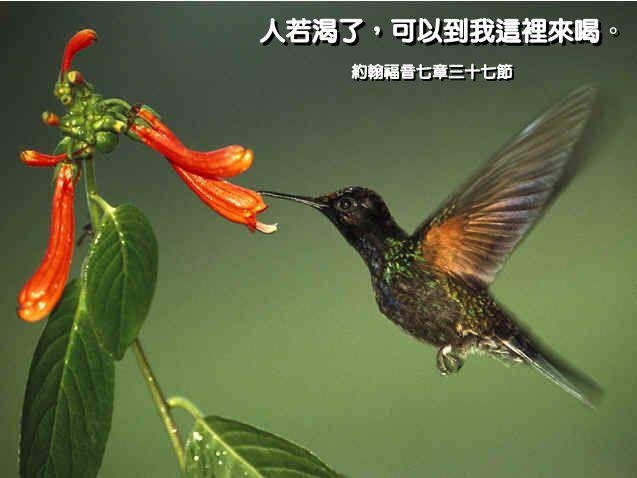 改变人生的四十句圣经金句(21-30)